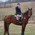 Mells Boxing Day Hunt